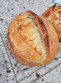 WHOLE WHEAT SOURDOUGH